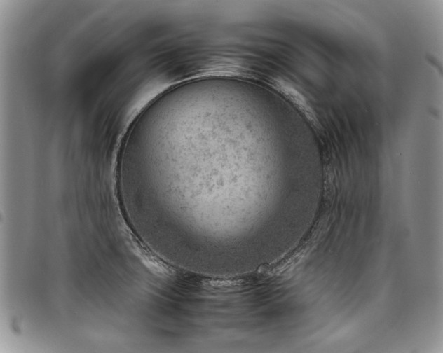 X0000098161427200804171548