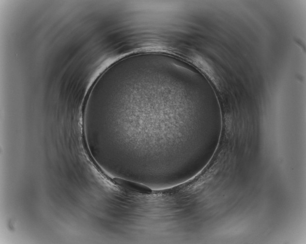 X0000098161428200804171548