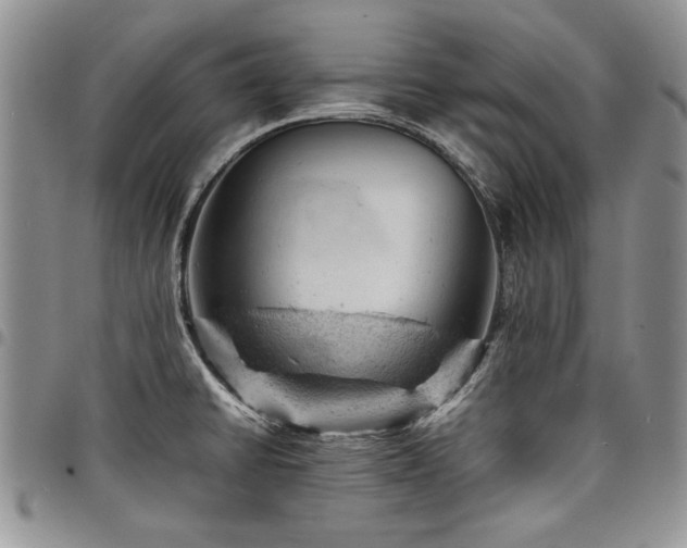 X0000098161430200804171548