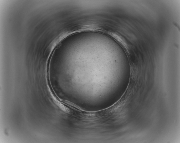 X0000098161431200804171548
