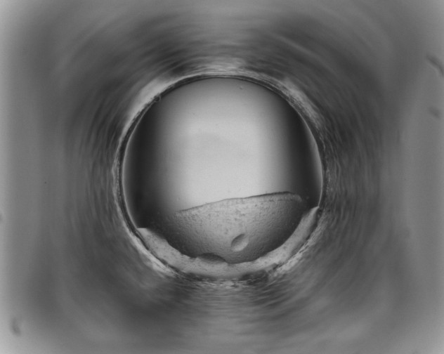 X0000098161432200804171548