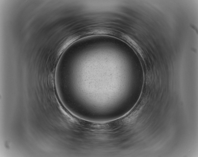X0000098161433200804171548