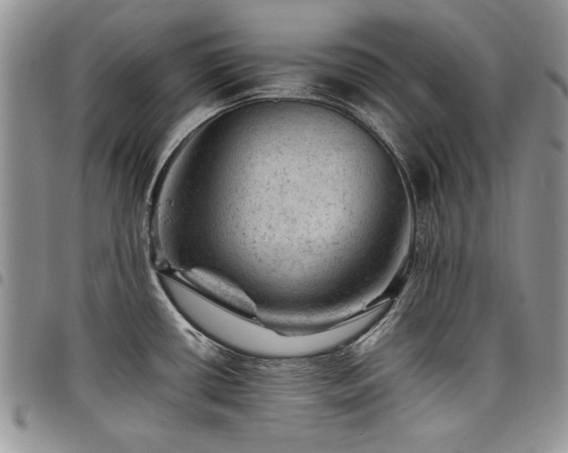 X0000098161434200804171548