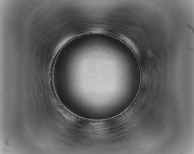 X0000098161435200804171548