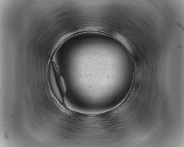 X0000098161436200804171548