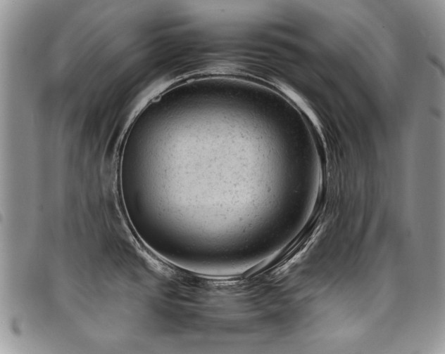 X0000098161437200804171548