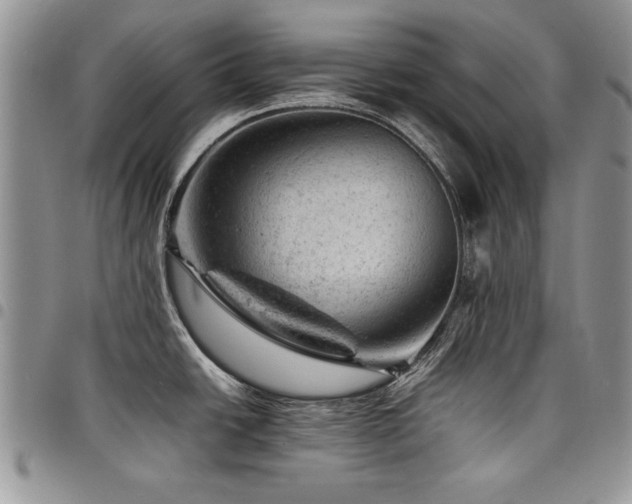 X0000098161438200804171548