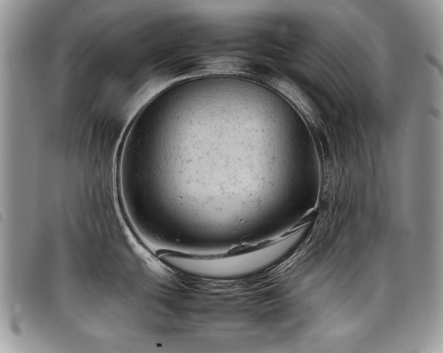 X0000098161439200804171548
