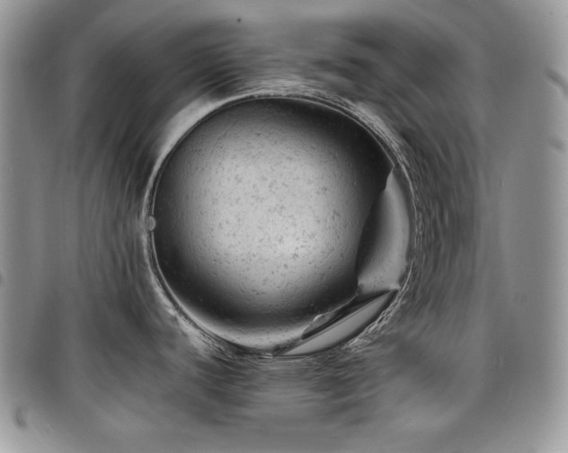 X0000098161440200804171548