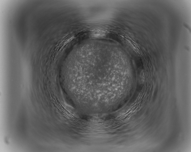 X0000098161441200804171547