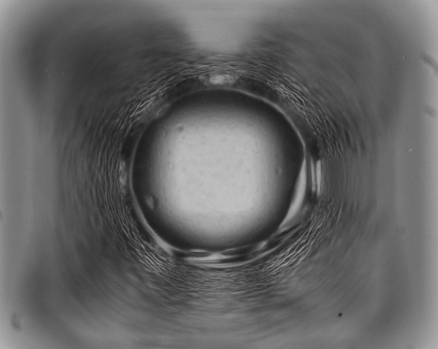 X0000098161443200804171547