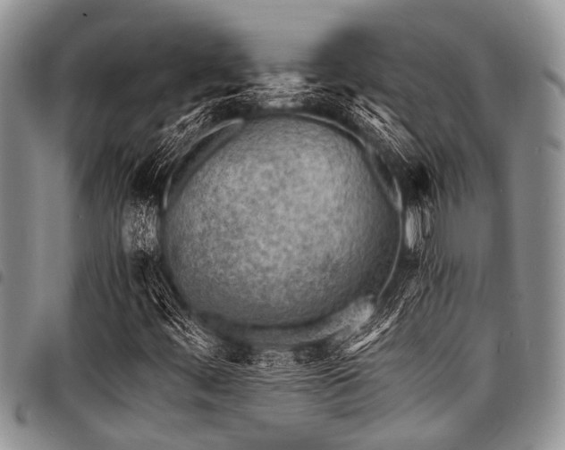 X0000098161444200804171547