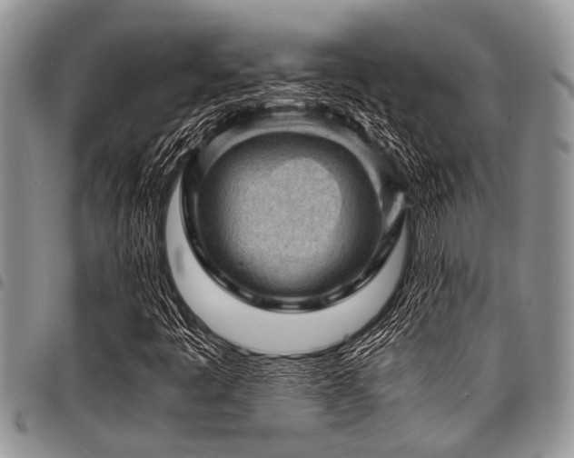 X0000098161445200804171547