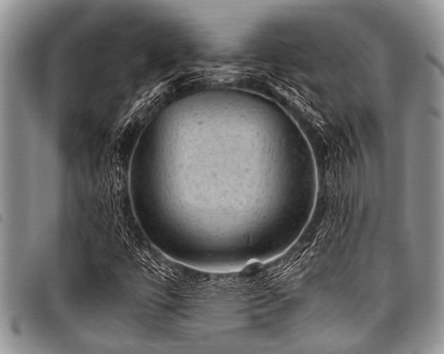 X0000098161447200804171547