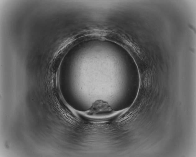 X0000098161448200804171547
