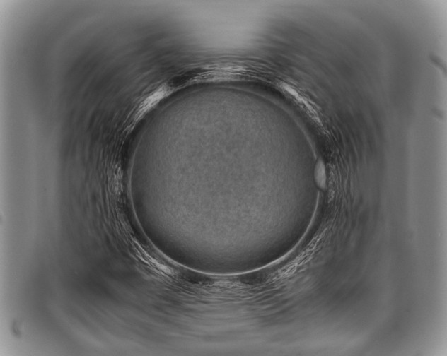 X0000098161449200804171547