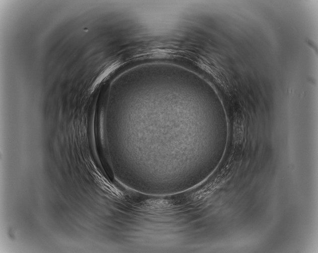 X0000098161450200804171547