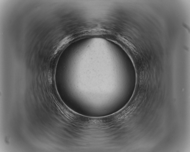 X0000098161451200804171547