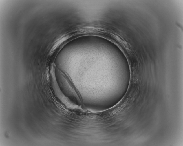 X0000098161453200804171547