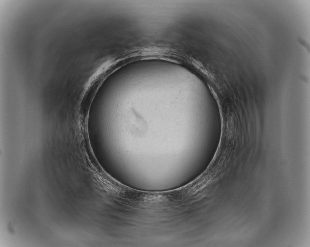 X0000098161454200804171547