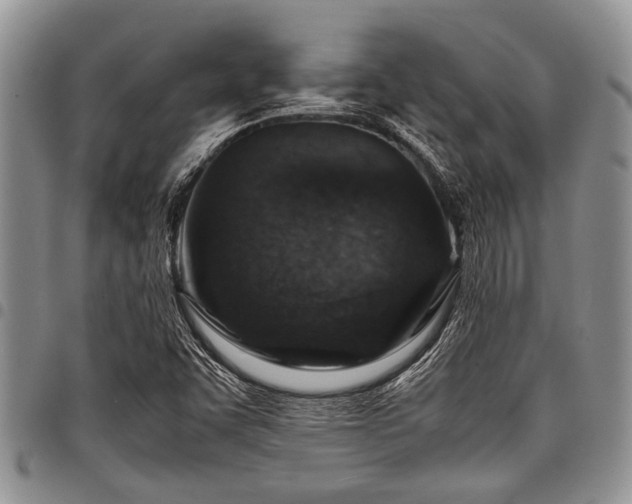 X0000098161455200804171547