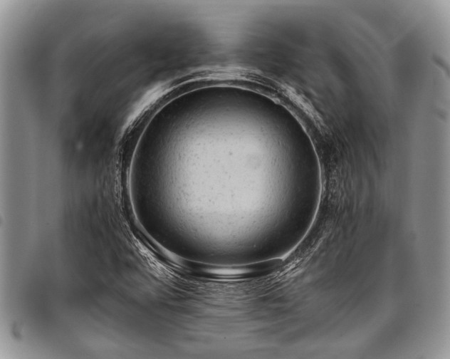 X0000098161456200804171547
