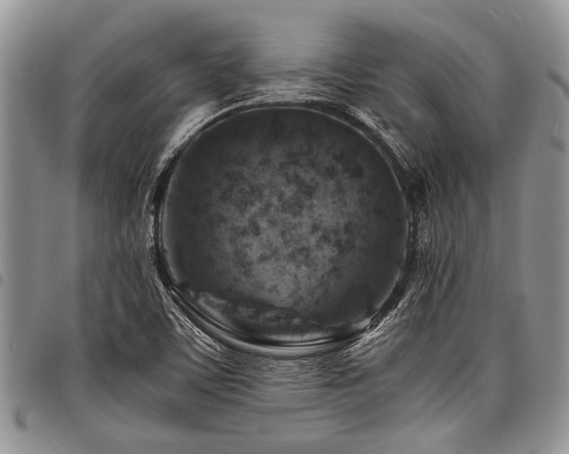 X0000098161459200804171547