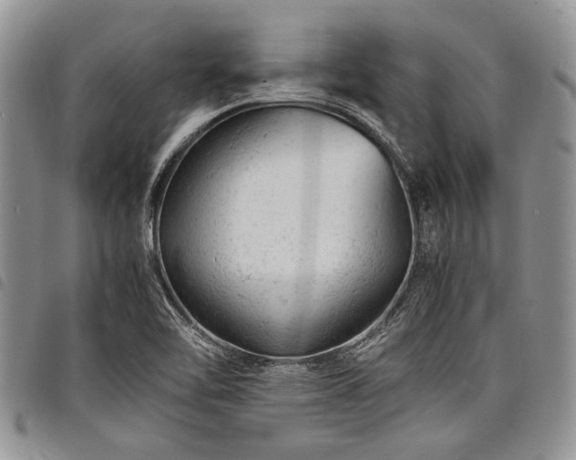 X0000098161462200804171547