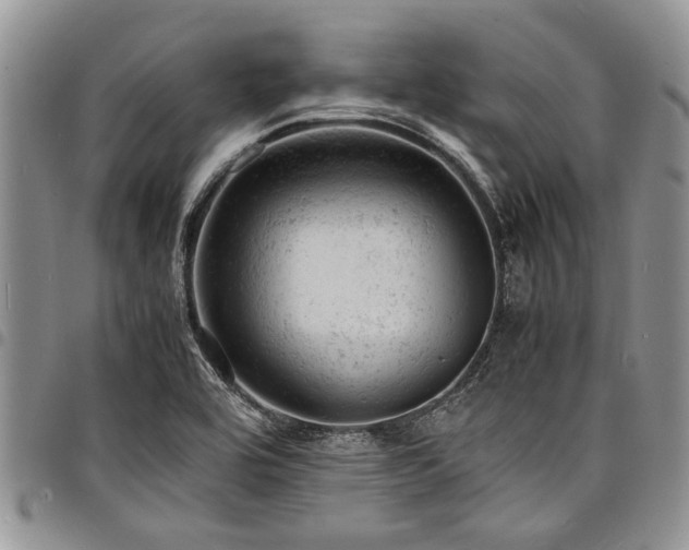 X0000098161464200804171547