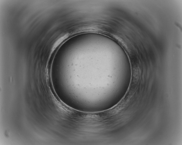 X0000098161466200804171547