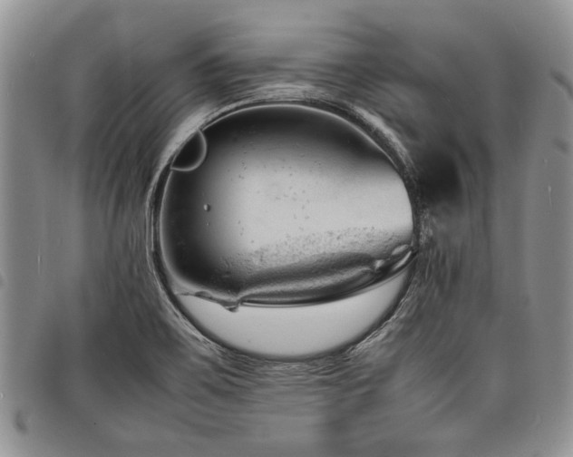 X0000098161467200804171547