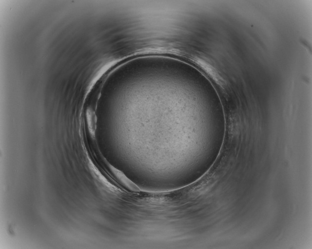 X0000098161468200804171547