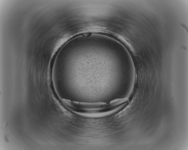 X0000098161469200804171547