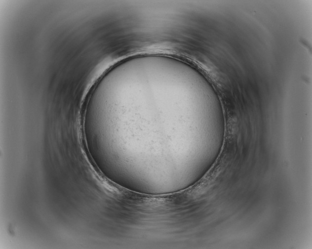 X0000098161470200804171547