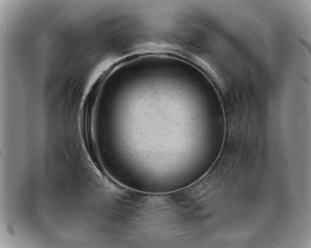 X0000098161472200804171547