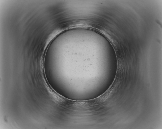 X0000098161474200804171547