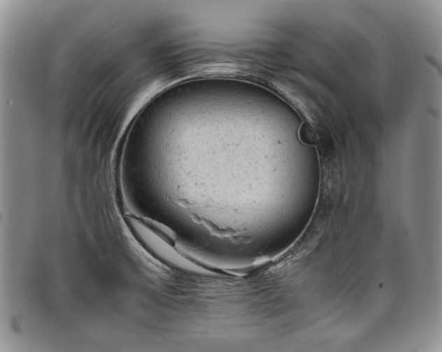 X0000098161475200804171547