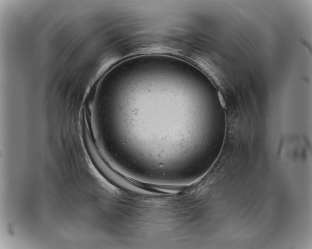 X0000098161476200804171547