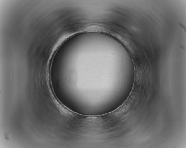 X0000098161478200804171547