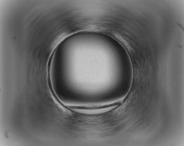 X0000098161479200804171547