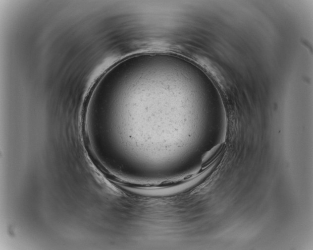 X0000098161480200804171547