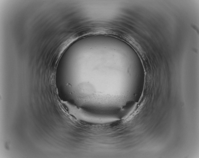 X0000098161481200804171547