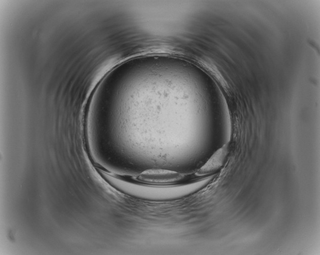 X0000098161483200804171546