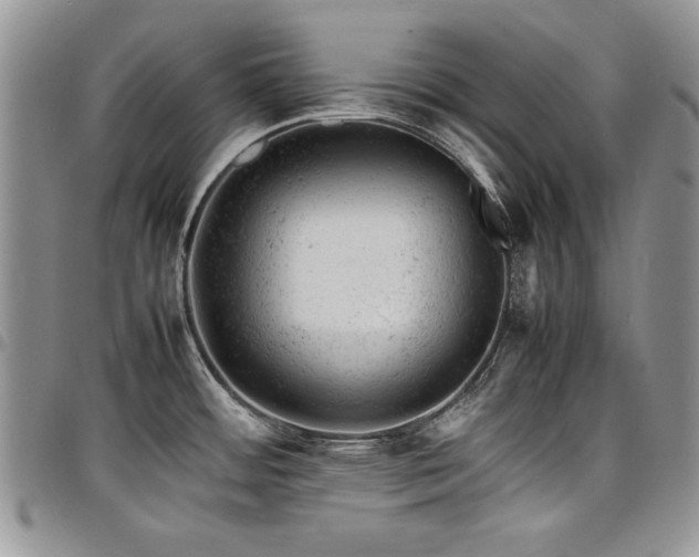 X0000098161484200804171546