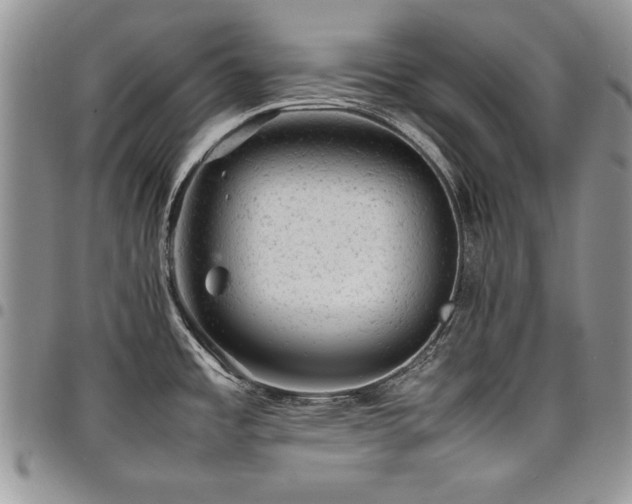 X0000098161485200804171546