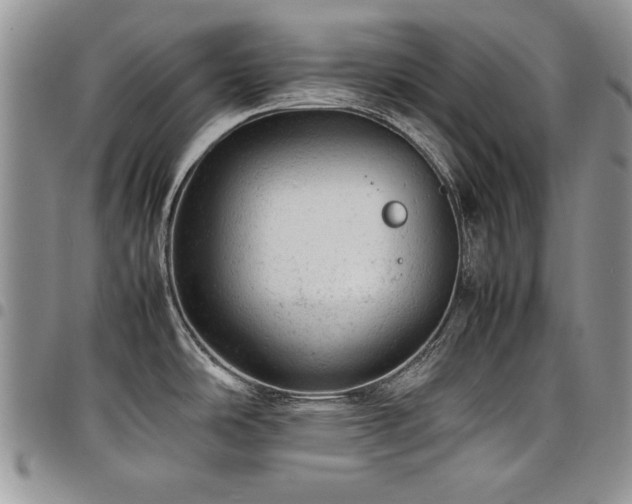 X0000098161486200804171546