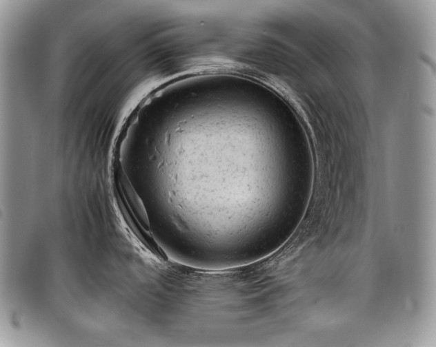 X0000098161488200804171546