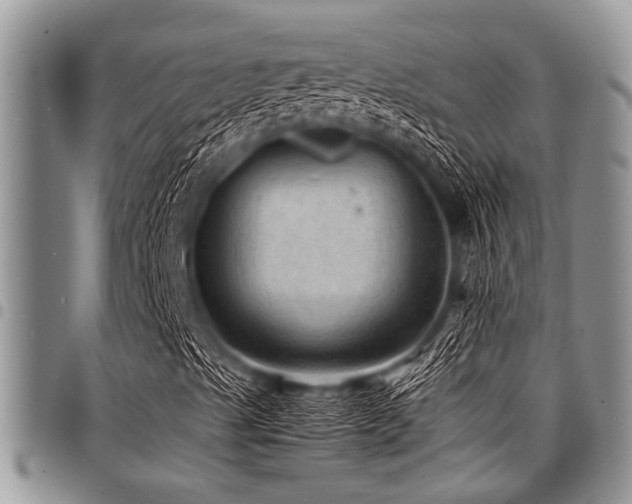 X0000098161489200804171546