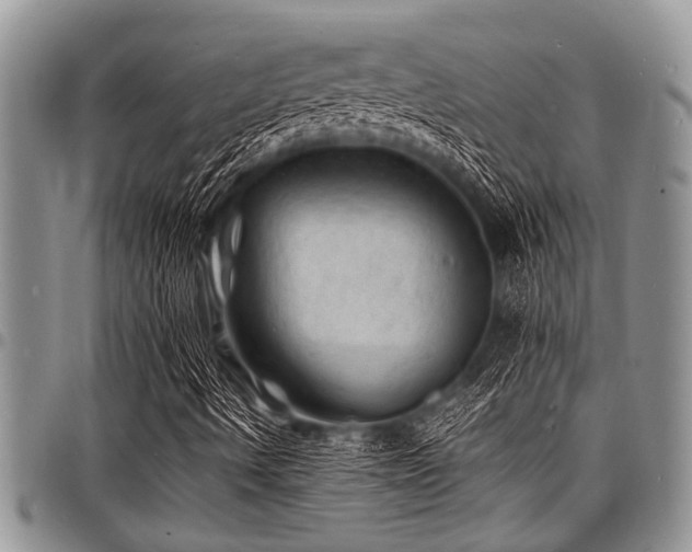 X0000098161490200804171546