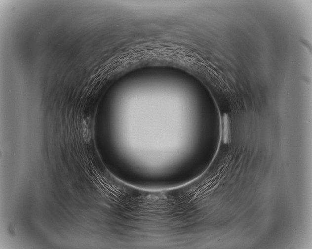 X0000098161491200804171546
